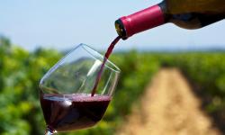 The image for Wine and Dine
