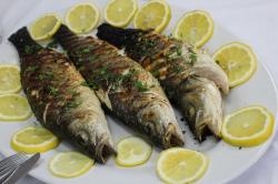 The image for Techniques of Fish Cookery