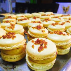 The image for FRENCH MACARONS