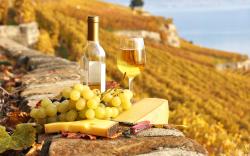 The image for Cooking Couples Tuscany