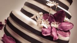 The image for Cake Decorating with Fondant