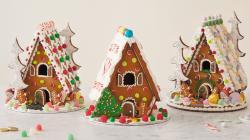 The image for Gingerbread Workshop Day 1