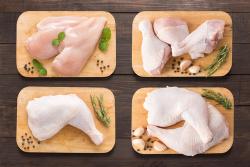 The image for Chicken Butchery 101