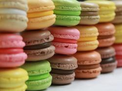 The image for French Macaron Workshop
